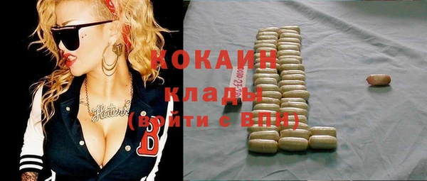 дживик Алзамай