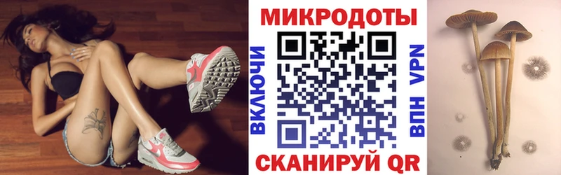 Псилоцибиновые грибы мухоморы  Новоалтайск 